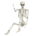 Life Size Plastic Skeleton with Movable Joints K2447