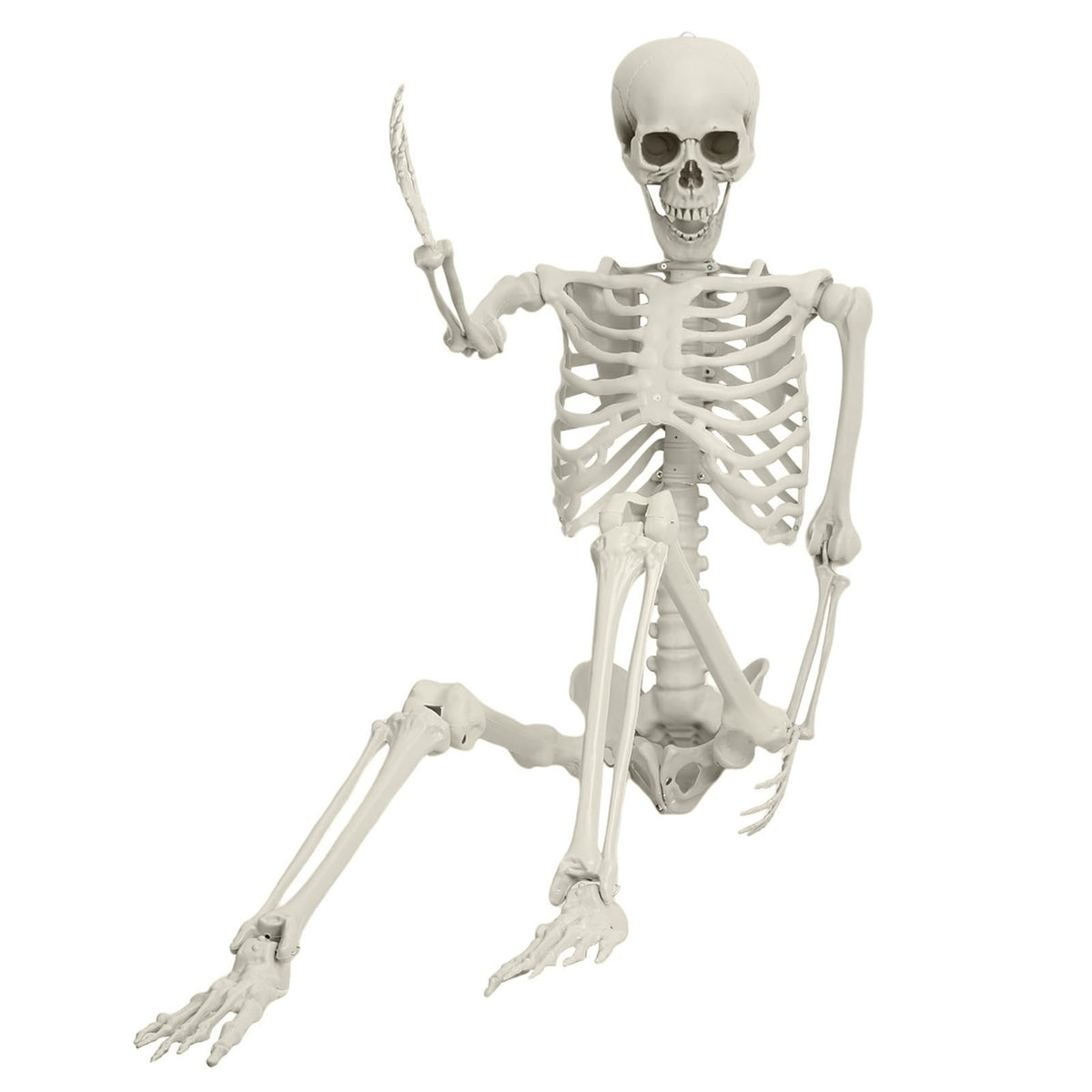 Life Size Plastic Skeleton with Movable Joints K2447