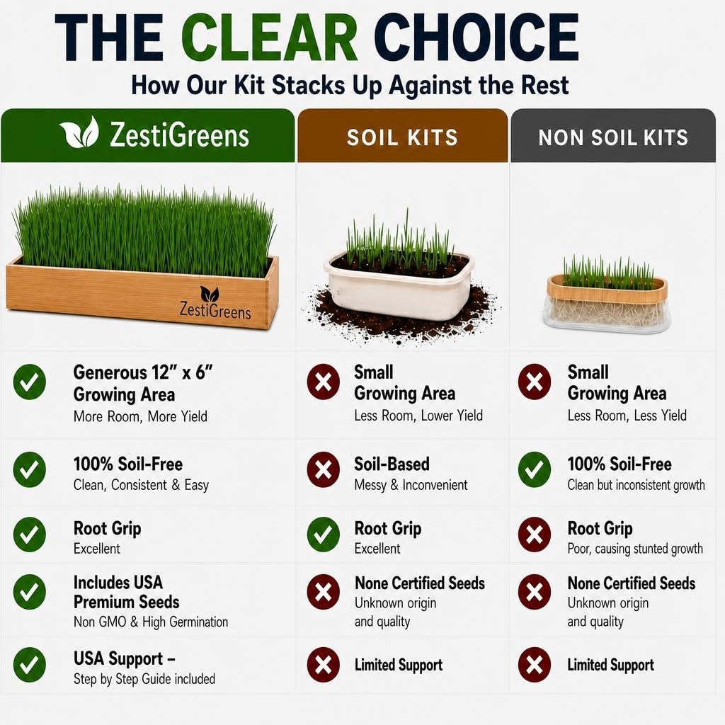 Self-Watering Cat Grass Planter Kit L442897