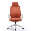 Ergonomic Mesh High Back Office Chair with Pillow T5932