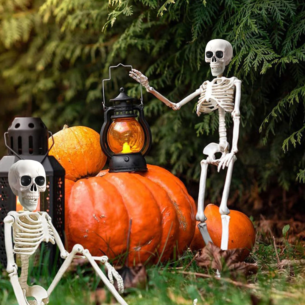 5.4Ft/165cm Life Size Skeleton with Movable Joints G247