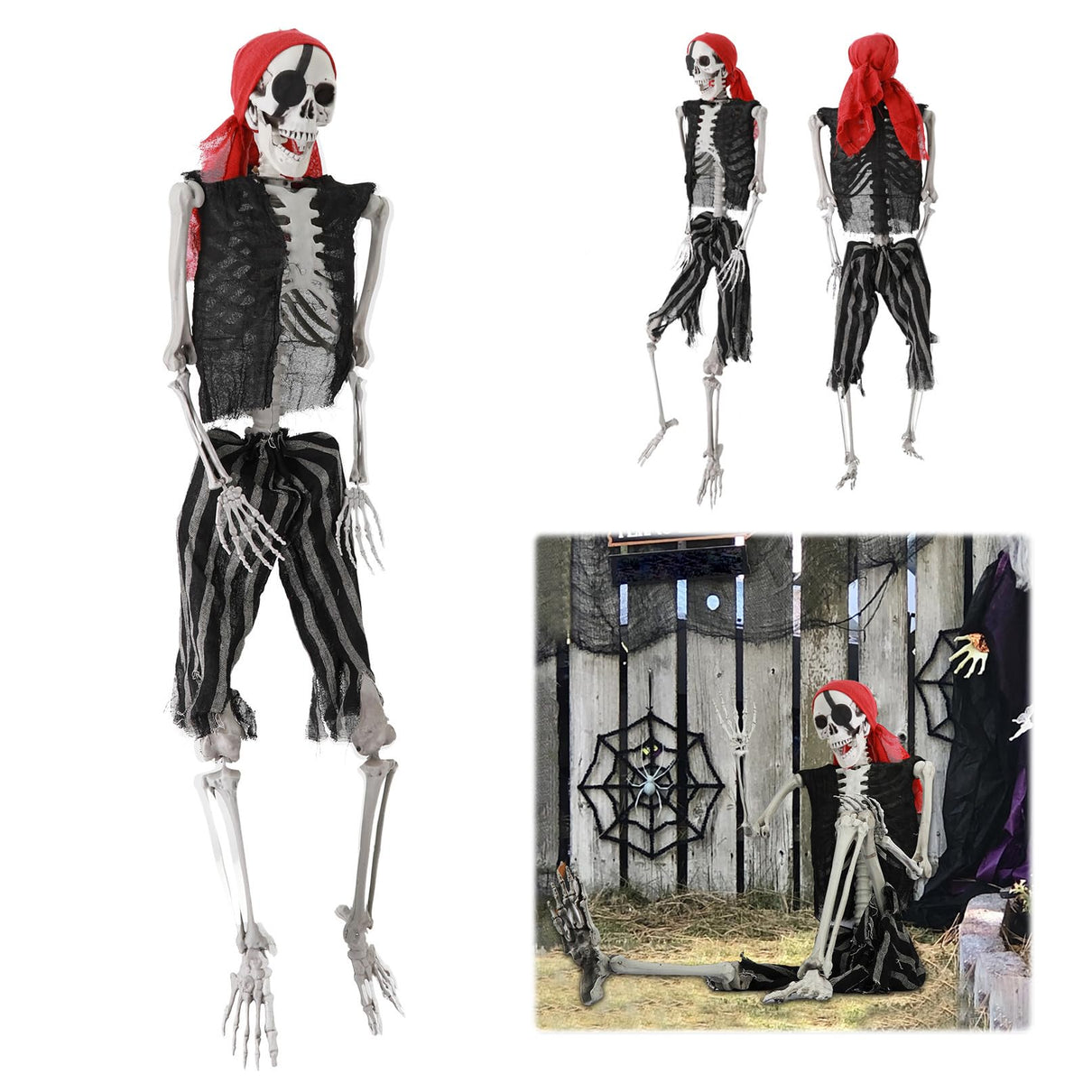 Life Size Skeleton with Joints C934688