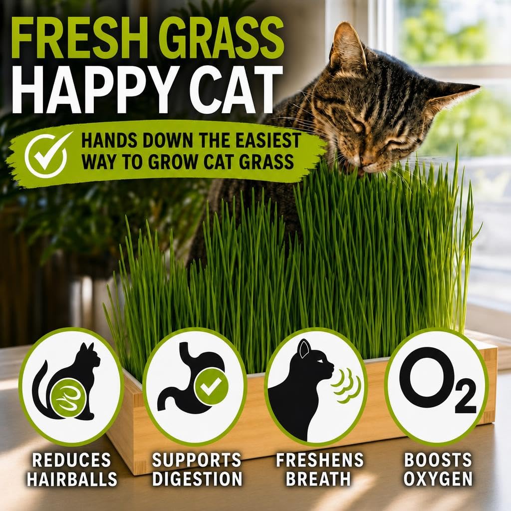 Self-Watering Cat Grass Planter Kit L442897