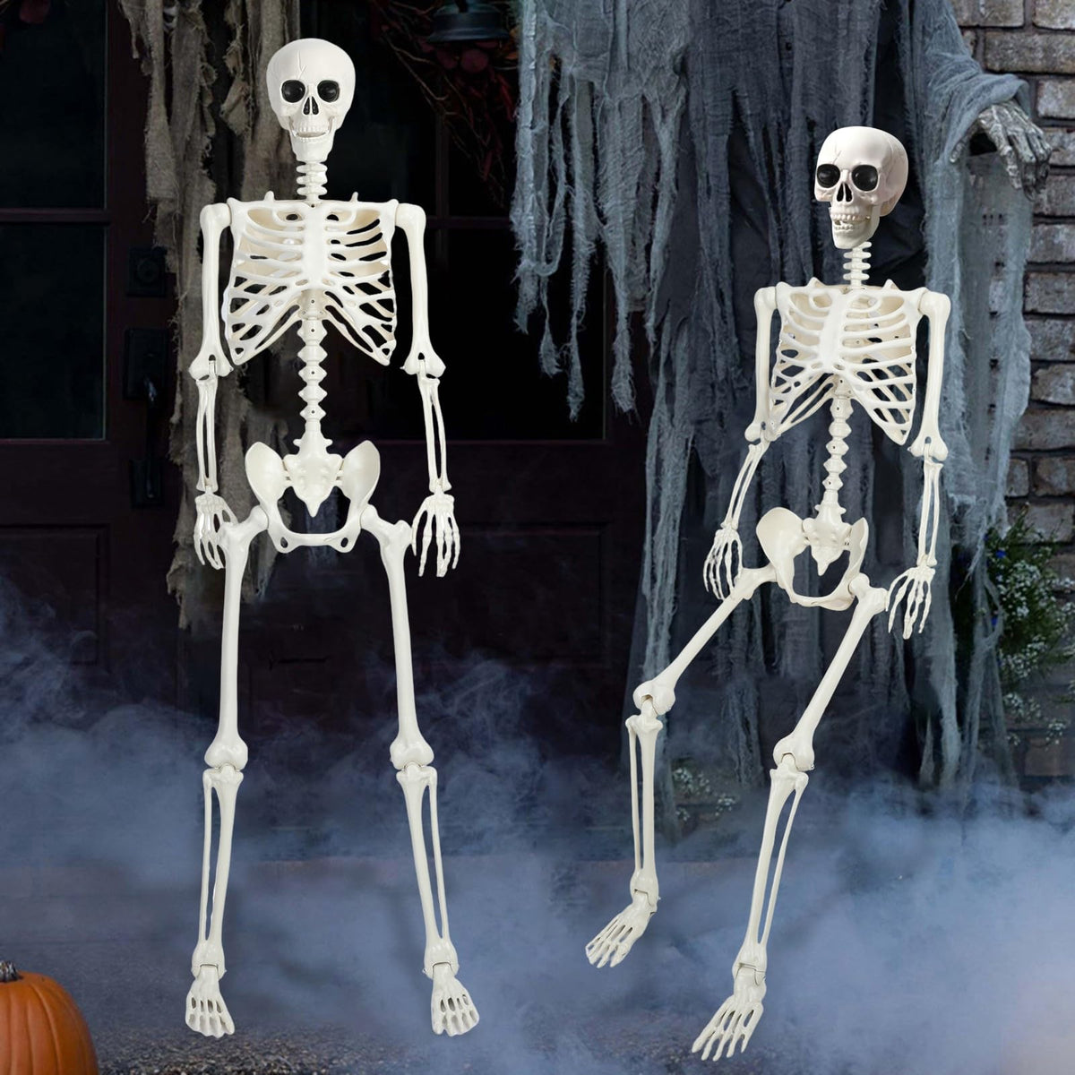 5.4Ft/165cm Life Size Skeleton with Movable Joints G247