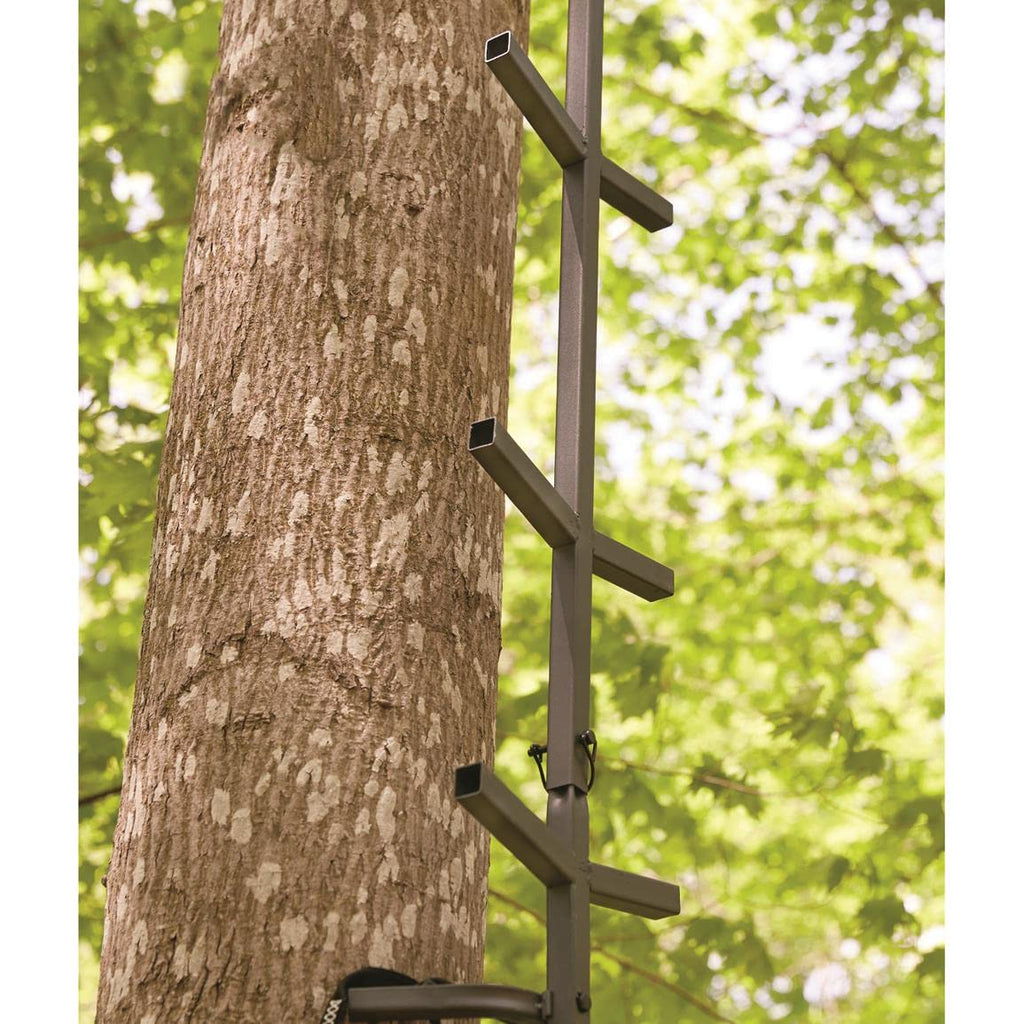 Full Step Climbing Stick Ladder P62329
