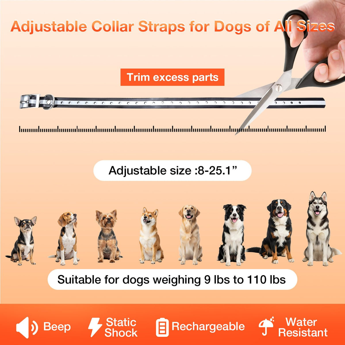 Electric Dog Fence Y9917