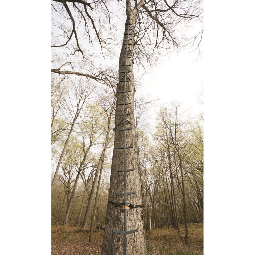 Full Step Climbing Stick Ladder P62329