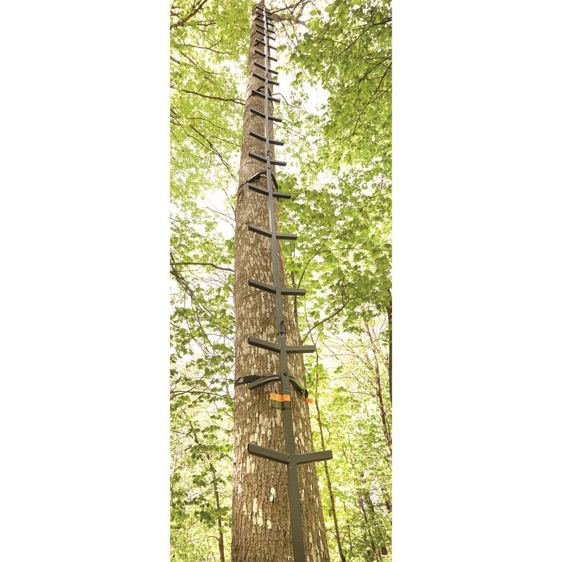 Full Step Climbing Stick Ladder P62329
