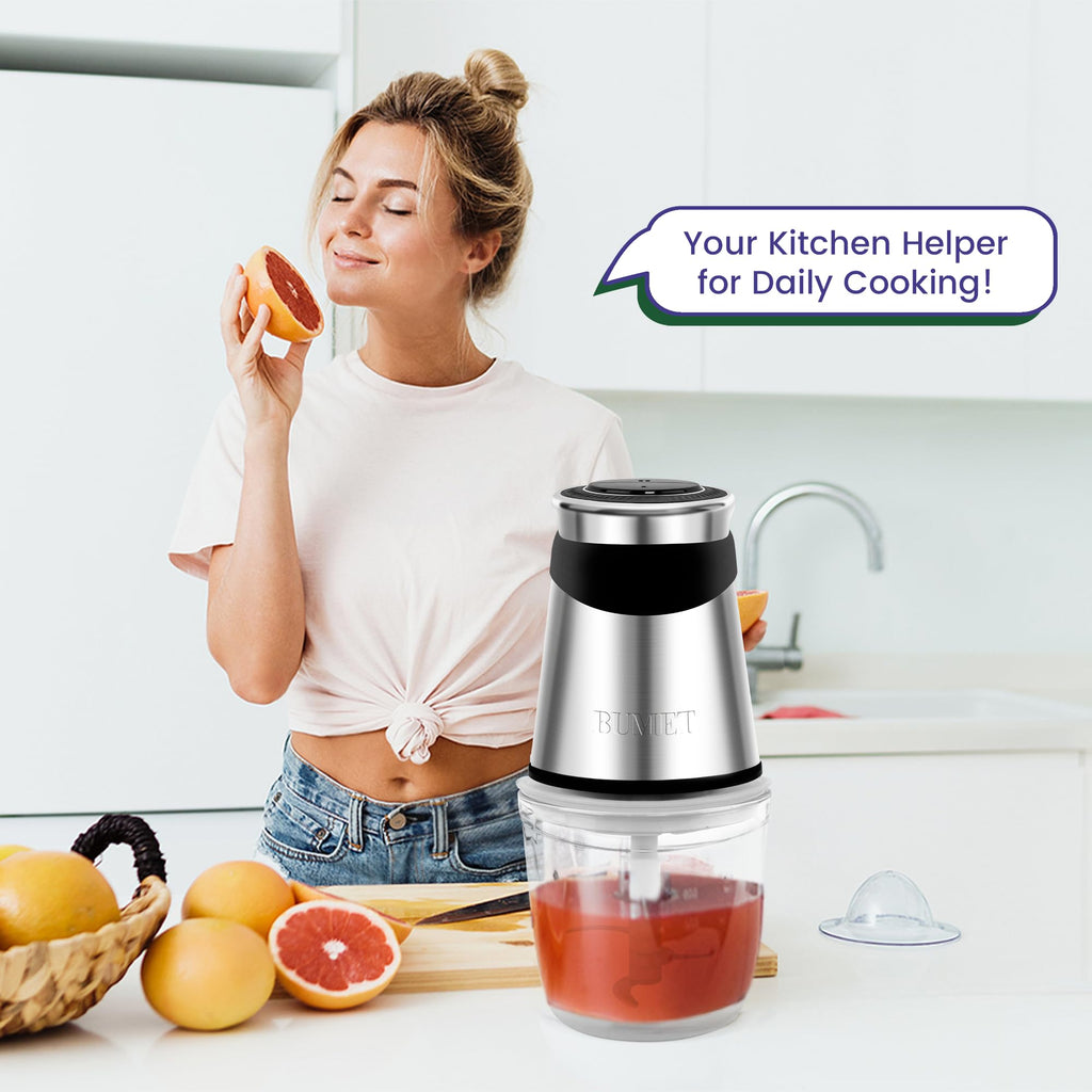 500W Mini Chopper 2.5-Cup Glass Bowl C4854