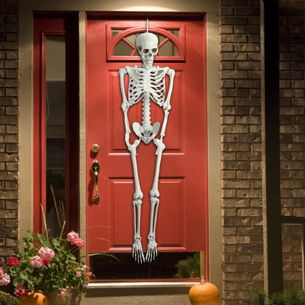 Life Size Plastic Skeleton with Movable Joints K2447