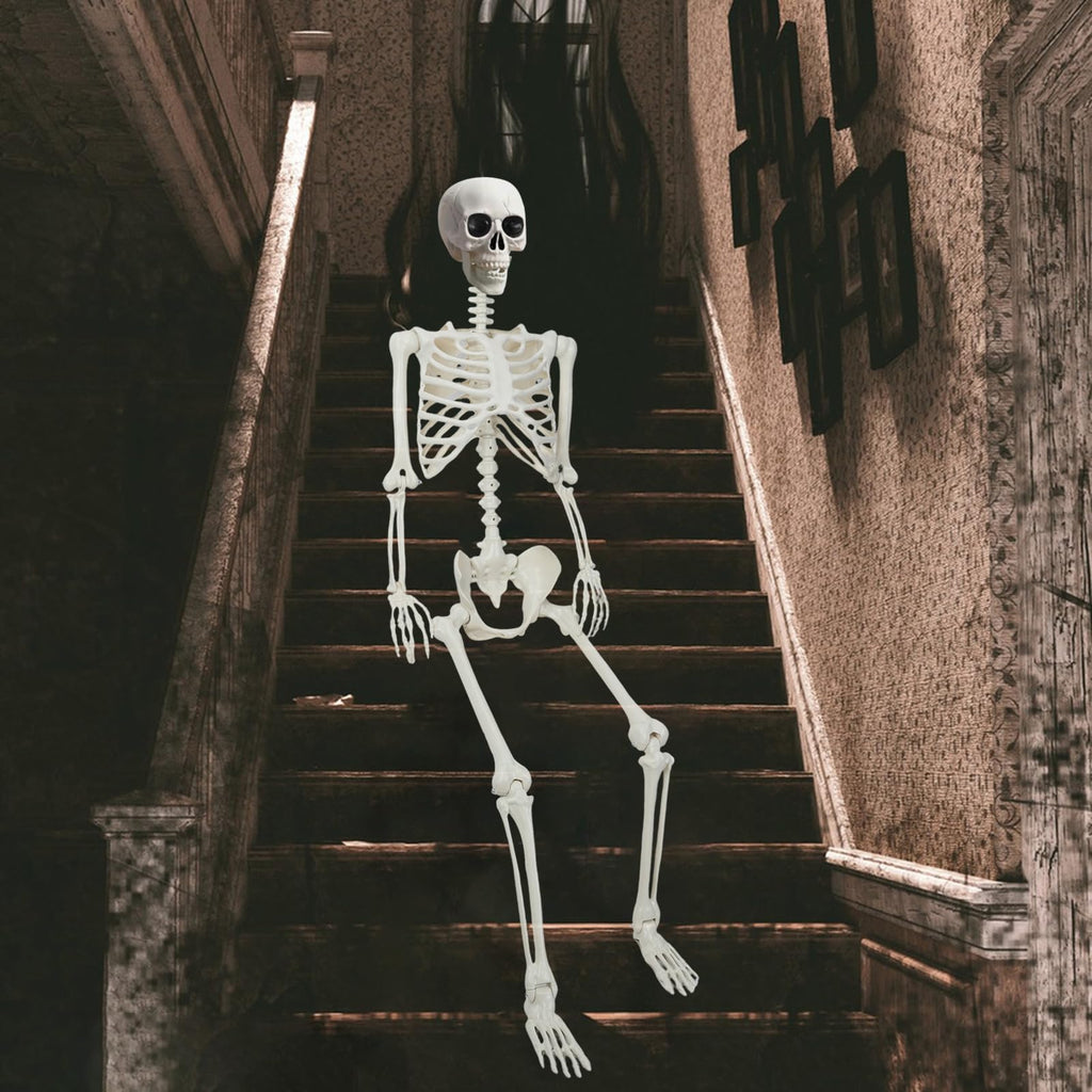 5.4Ft/165cm Life Size Skeleton with Movable Joints G247