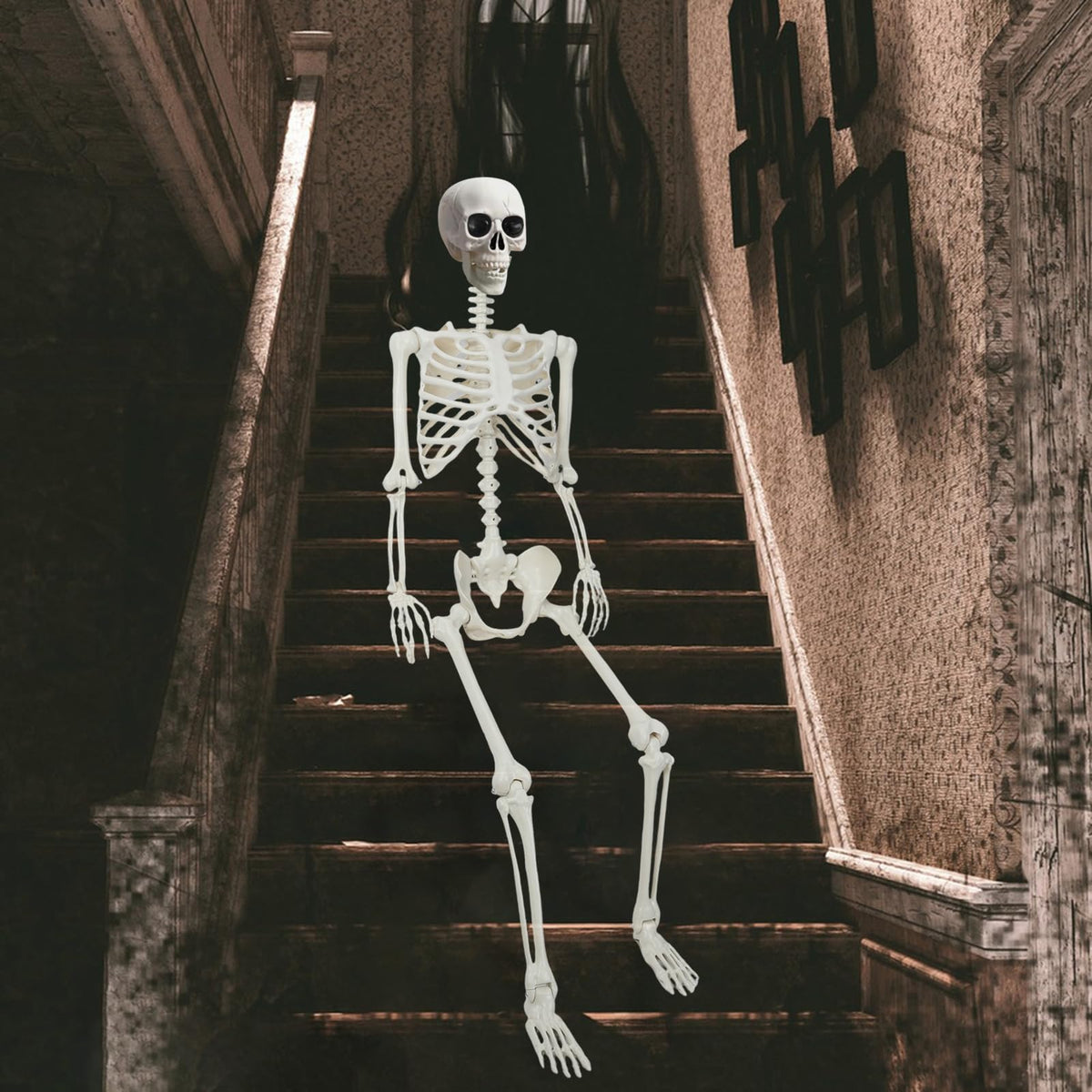 5.4Ft/165cm Life Size Skeleton with Movable Joints G247