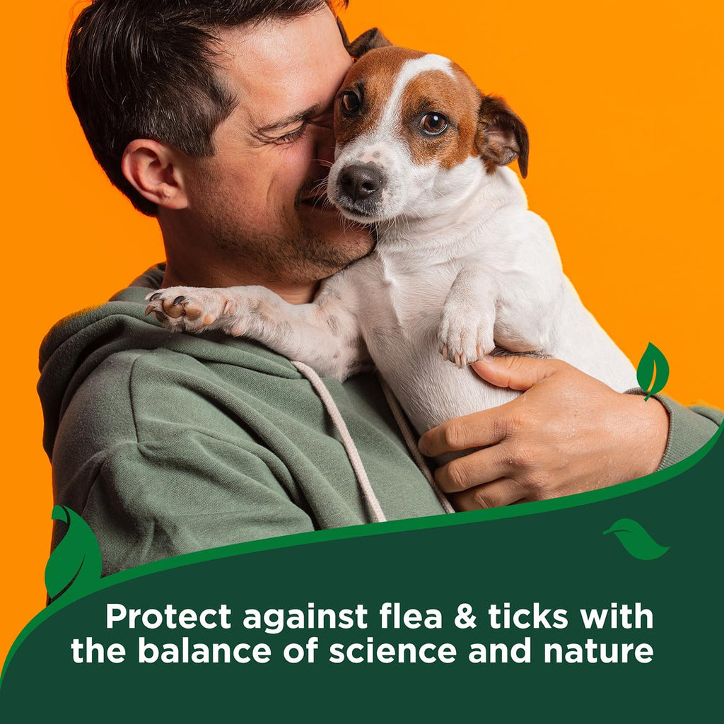 Waterless Flea & Tick Bath for Dogs 8 oz H68347