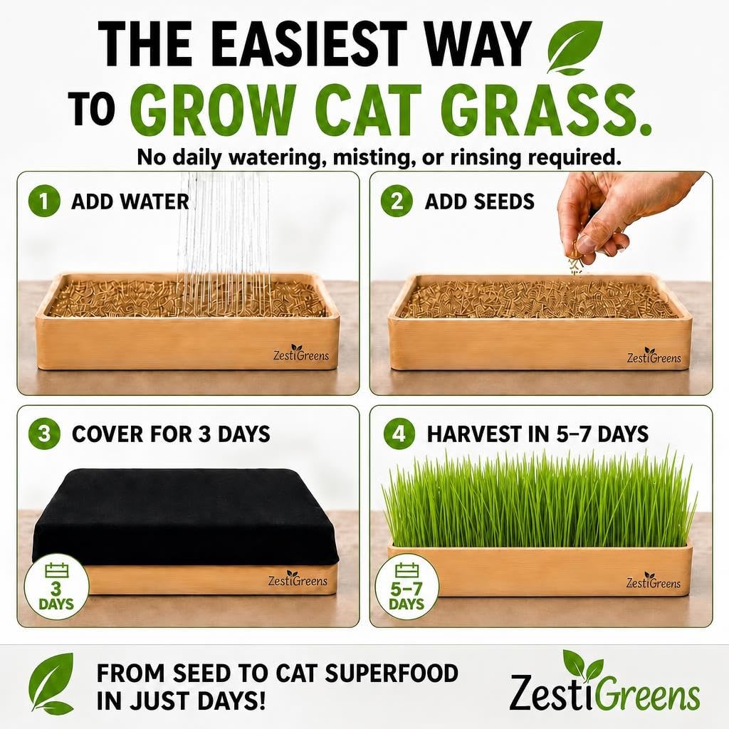 Self-Watering Cat Grass Planter Kit L442897