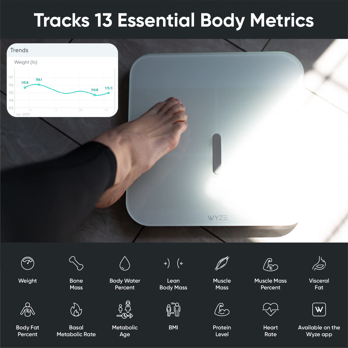 Smart Scale & 3 Pack Night Light O348