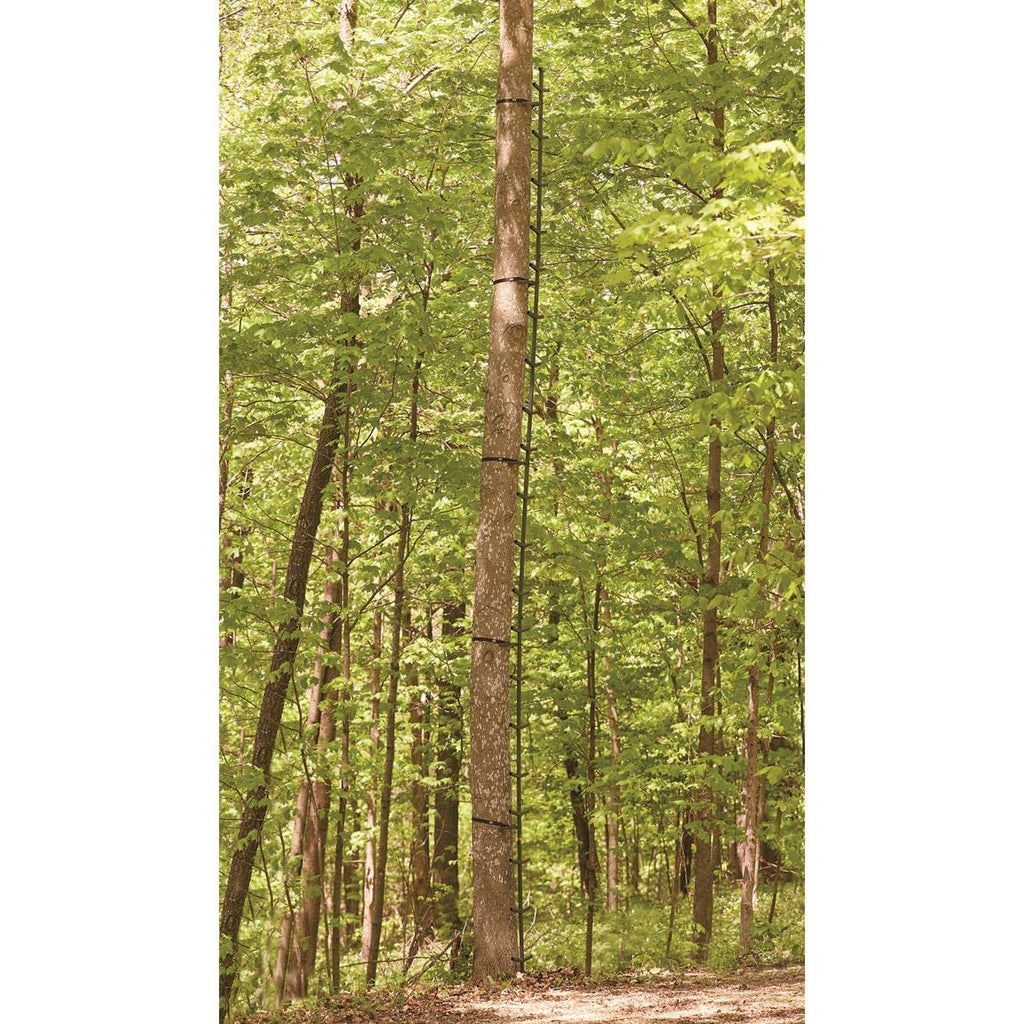 Full Step Climbing Stick Ladder P62329