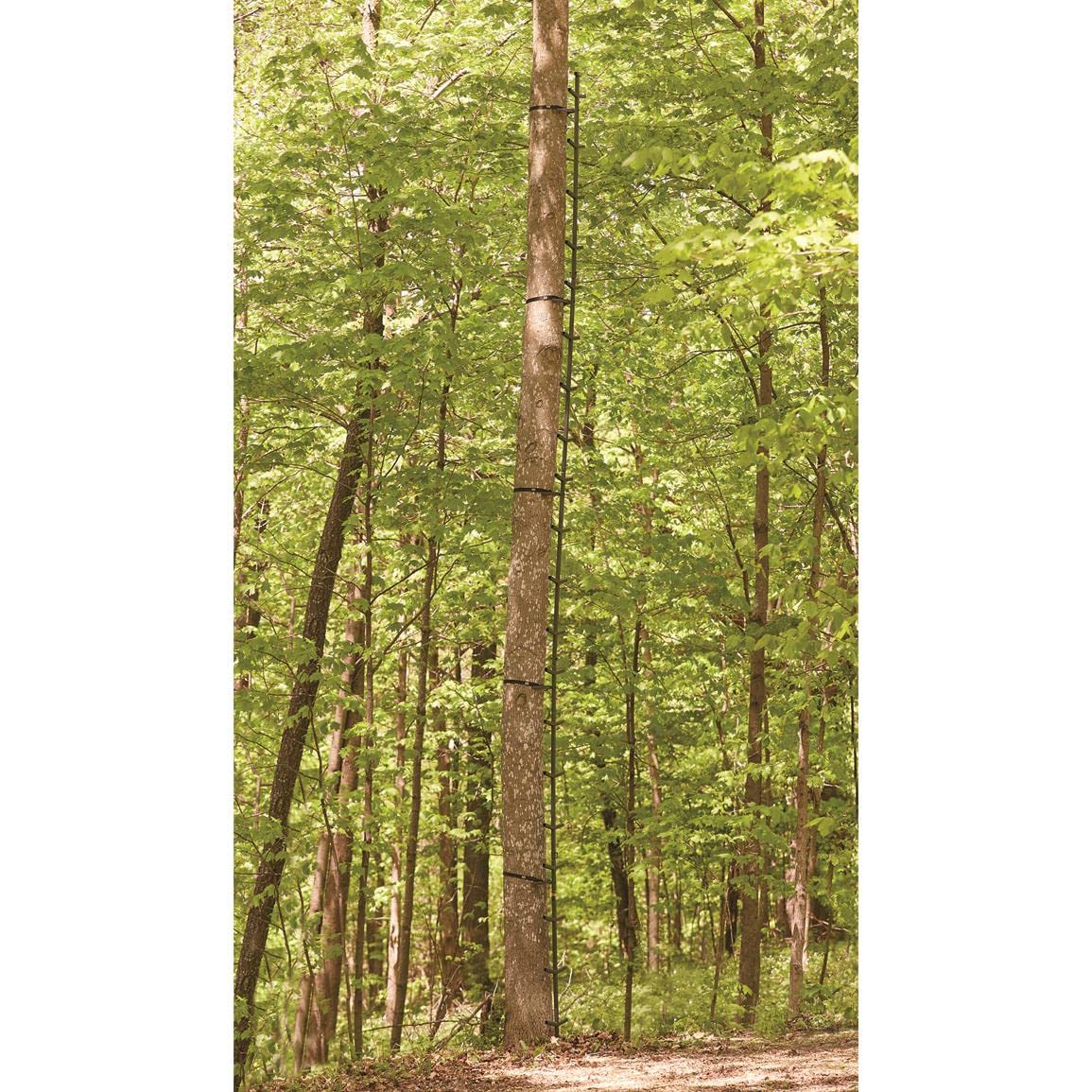 Full Step Climbing Stick Ladder P62329