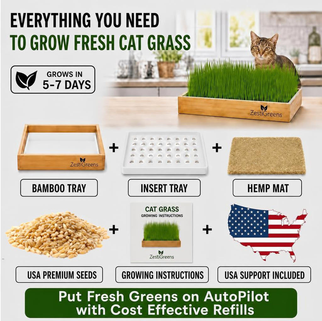 Self-Watering Cat Grass Planter Kit L442897