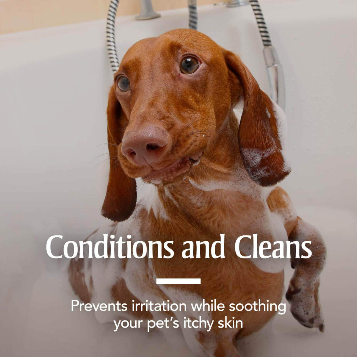 Oatmeal Flea & Tick Shampoo Dogs 18oz M1874