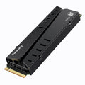 1TB NVMe M.2 SSD with Heatsink and DRAM Q6437