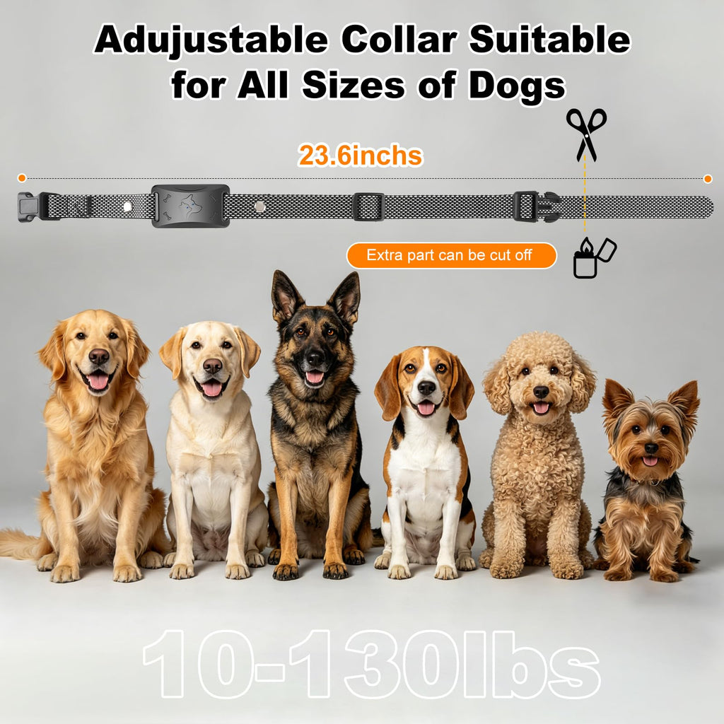Wireless Dog Fence X603