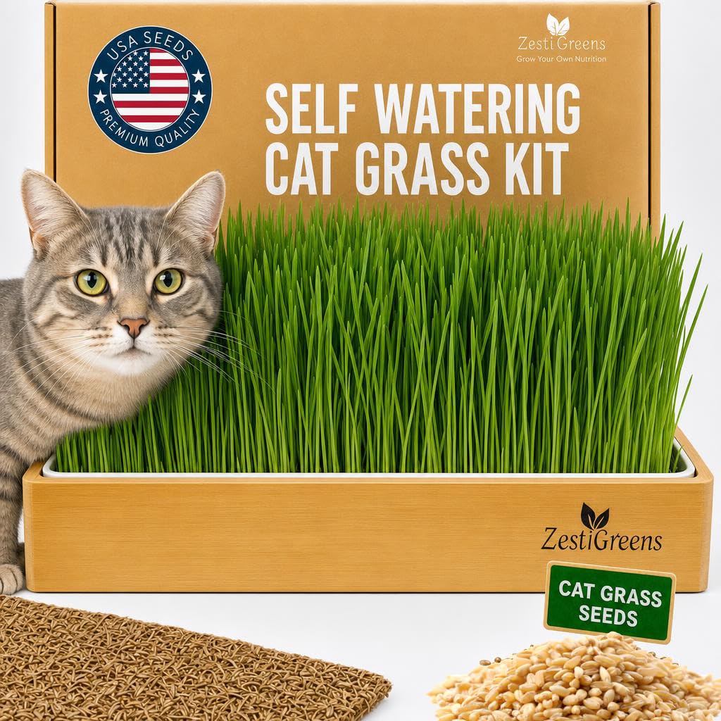 Self-Watering Cat Grass Planter Kit L442897