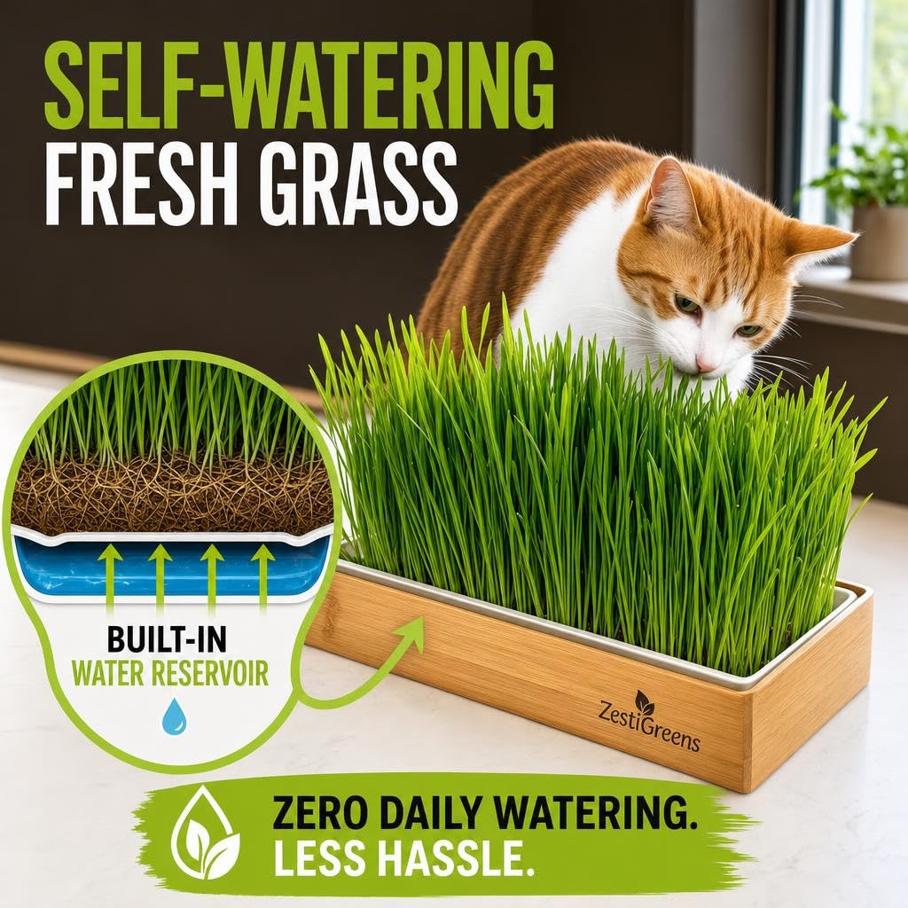 Self-Watering Cat Grass Planter Kit L442897