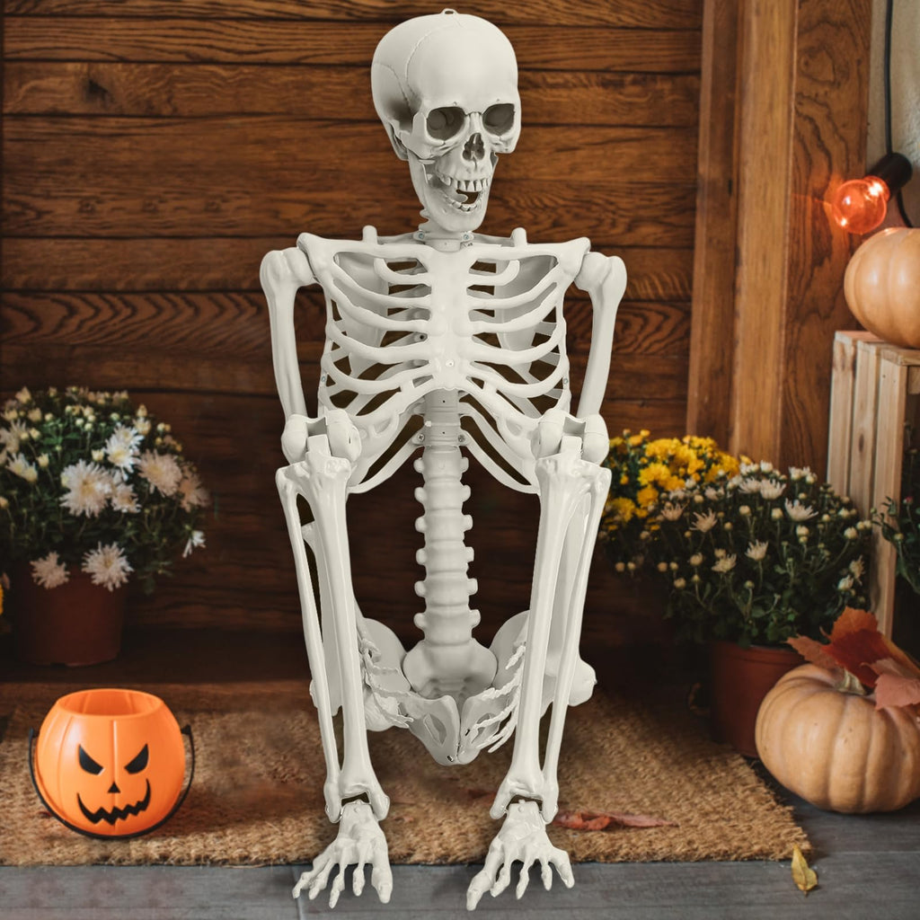 Life Size Plastic Skeleton with Movable Joints K2447