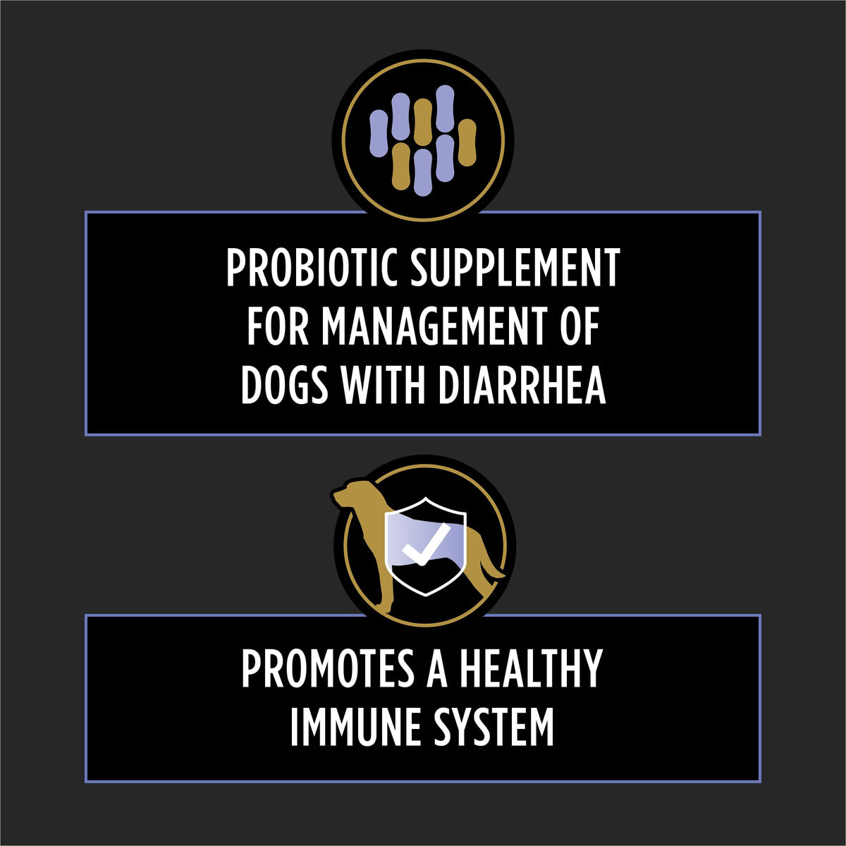 Probiotic Dog Tablets 45 Count H880