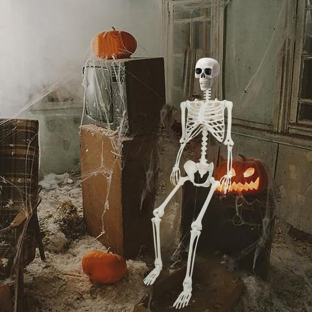 5.4Ft/165cm Life Size Skeleton with Movable Joints G247