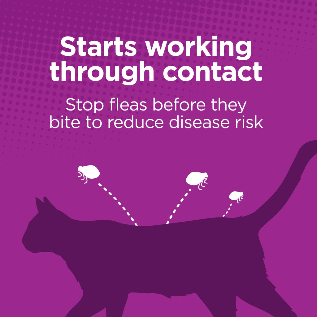 Flea Treatment for Small & Medium Cats 5-9 lbs, 6 Doses K4379