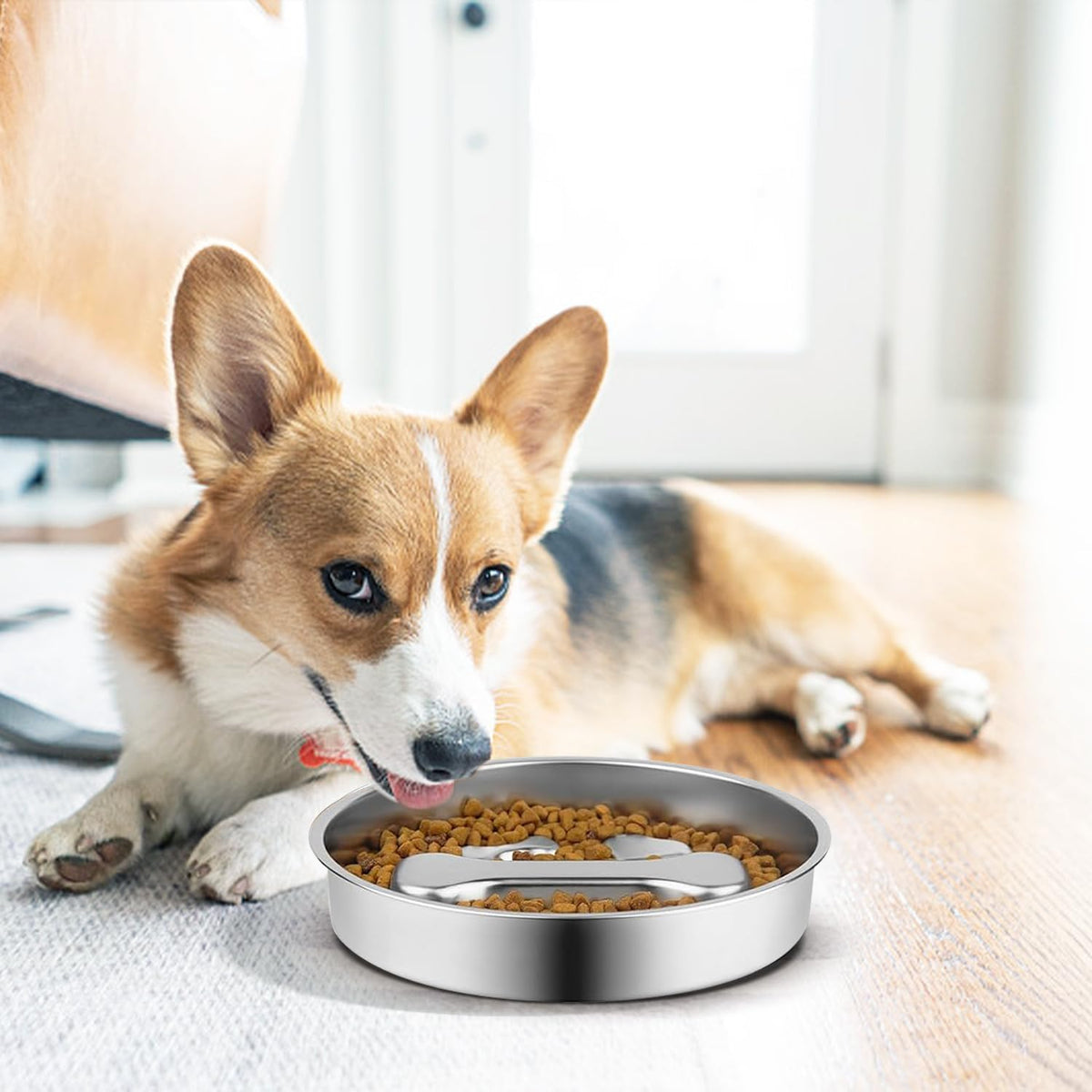 Stainless Steel Slow Feeder Dog Bowls, 2 Pcs O998112