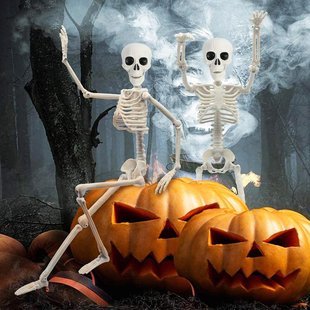 5.4Ft/165cm Life Size Skeleton with Movable Joints G247