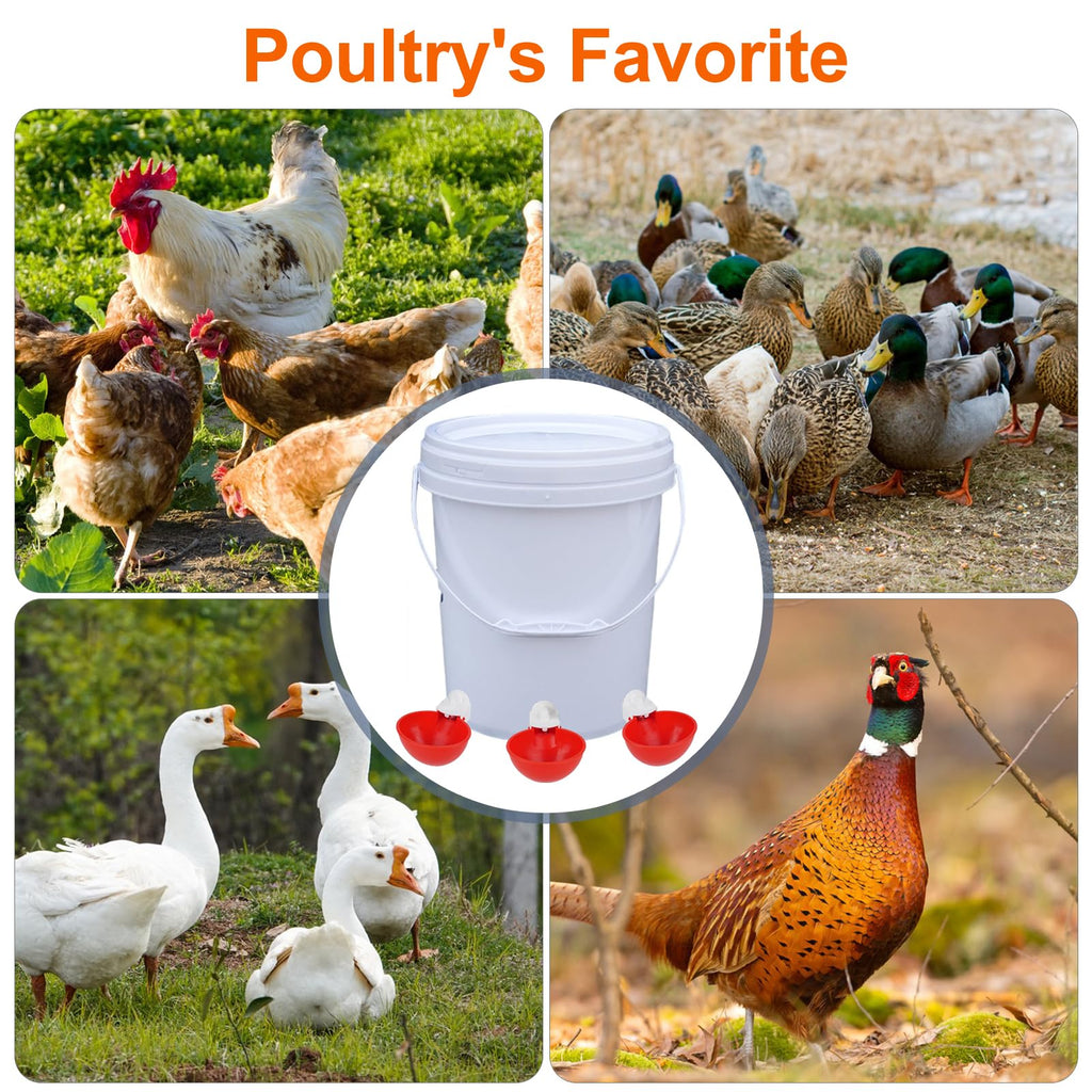 6 Pack Automatic Chicken Waterer Cups W69670