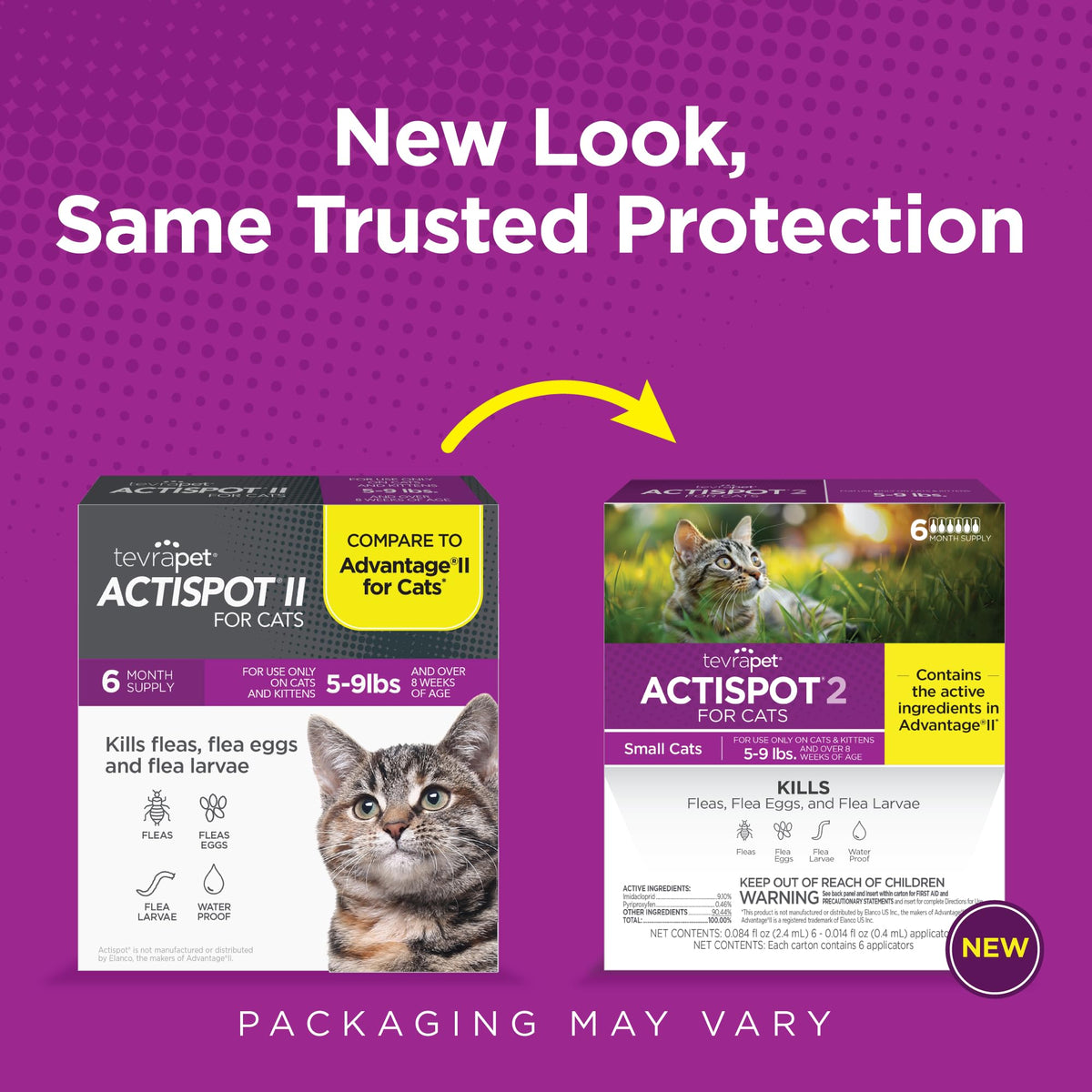 Flea Treatment for Small & Medium Cats 5-9 lbs, 6 Doses K4379