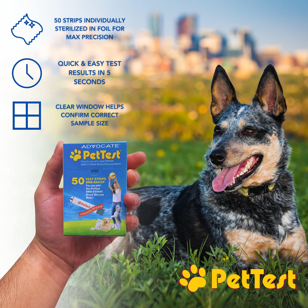 Blood Glucose 50 Test Strips for Dogs & Cats B306096
