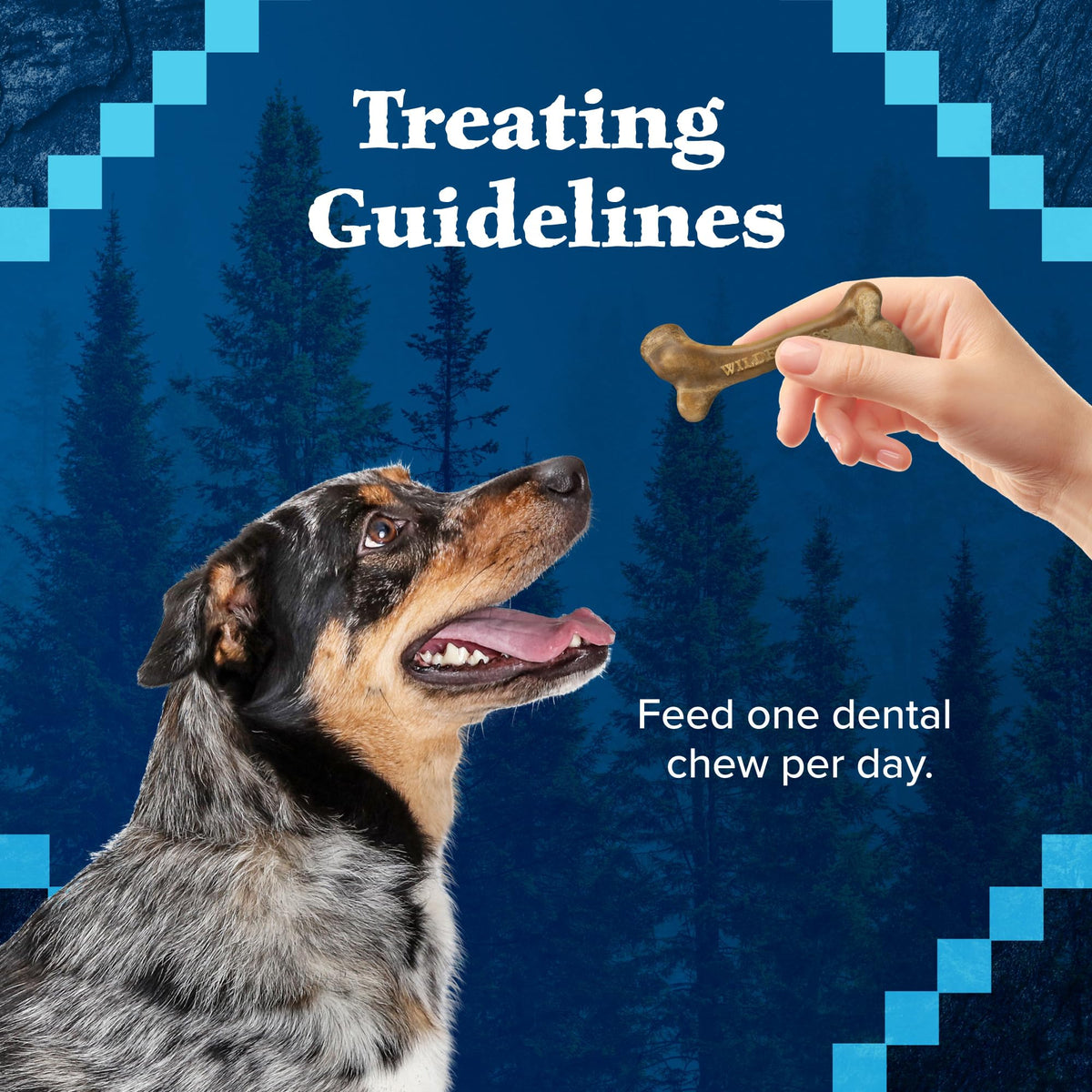 Grain-Free Large Dog Dental Chews D345776
