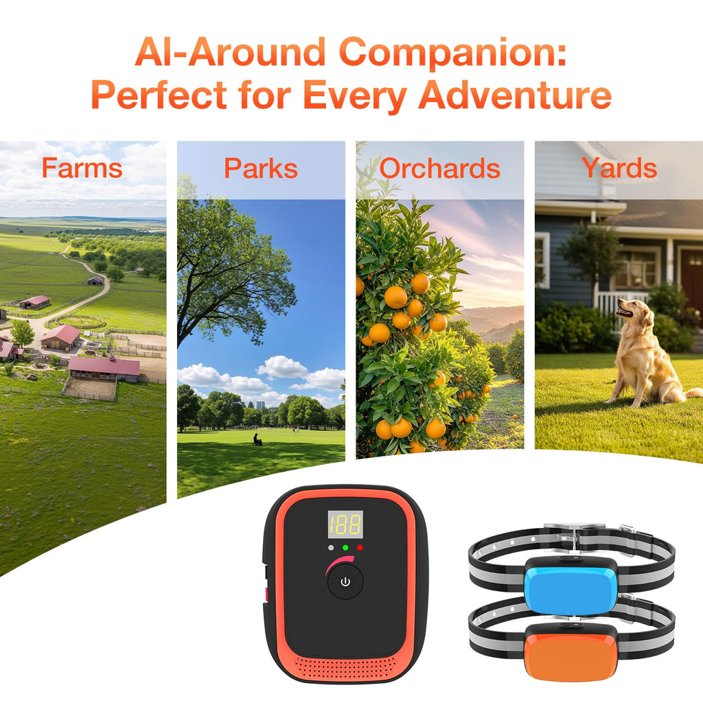Electric Dog Fence Y9917