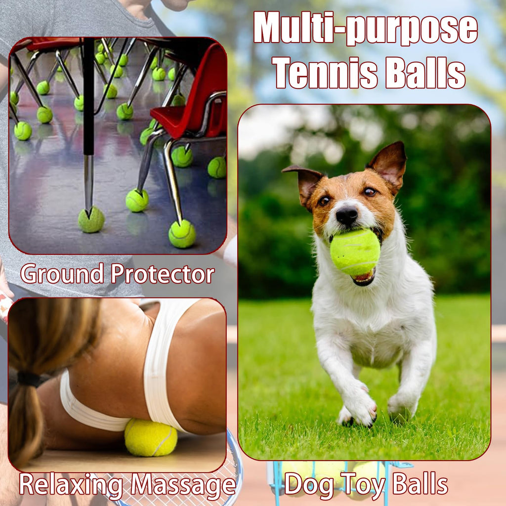 Tennis Ball 30/60 Bulk Pack I15974