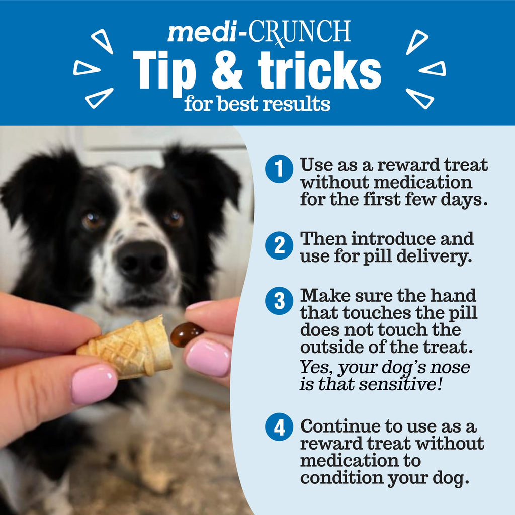 Peanut Butter Dog Pill Treats 30 Count Y1660