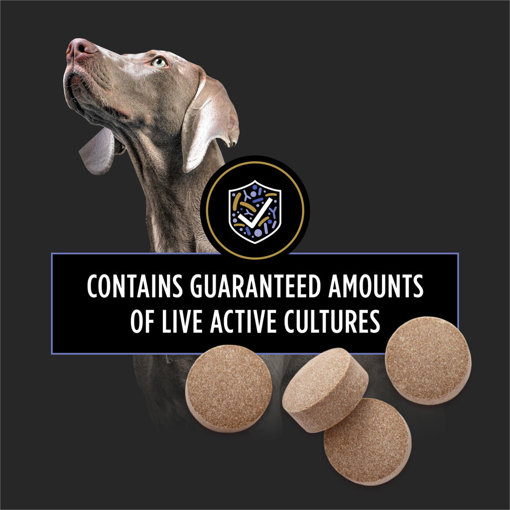 Probiotic Dog Tablets 45 Count H880
