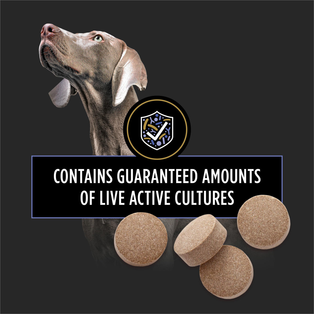 Probiotic Dog Tablets 45 Count H880