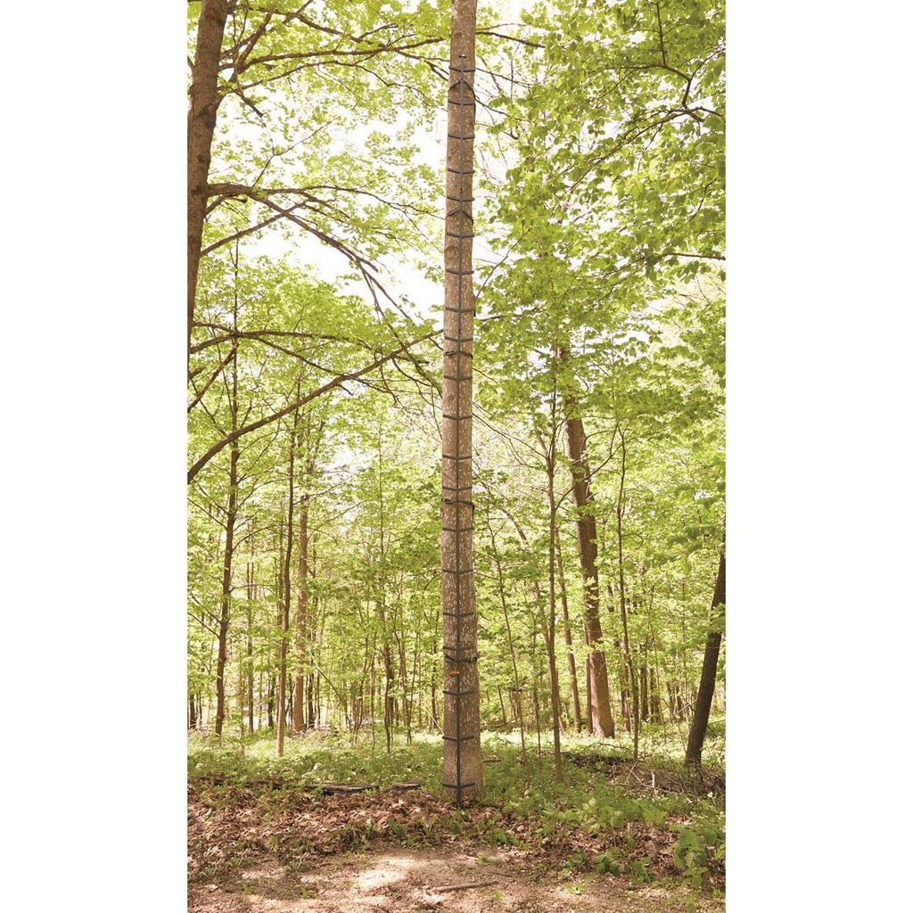 Full Step Climbing Stick Ladder P62329