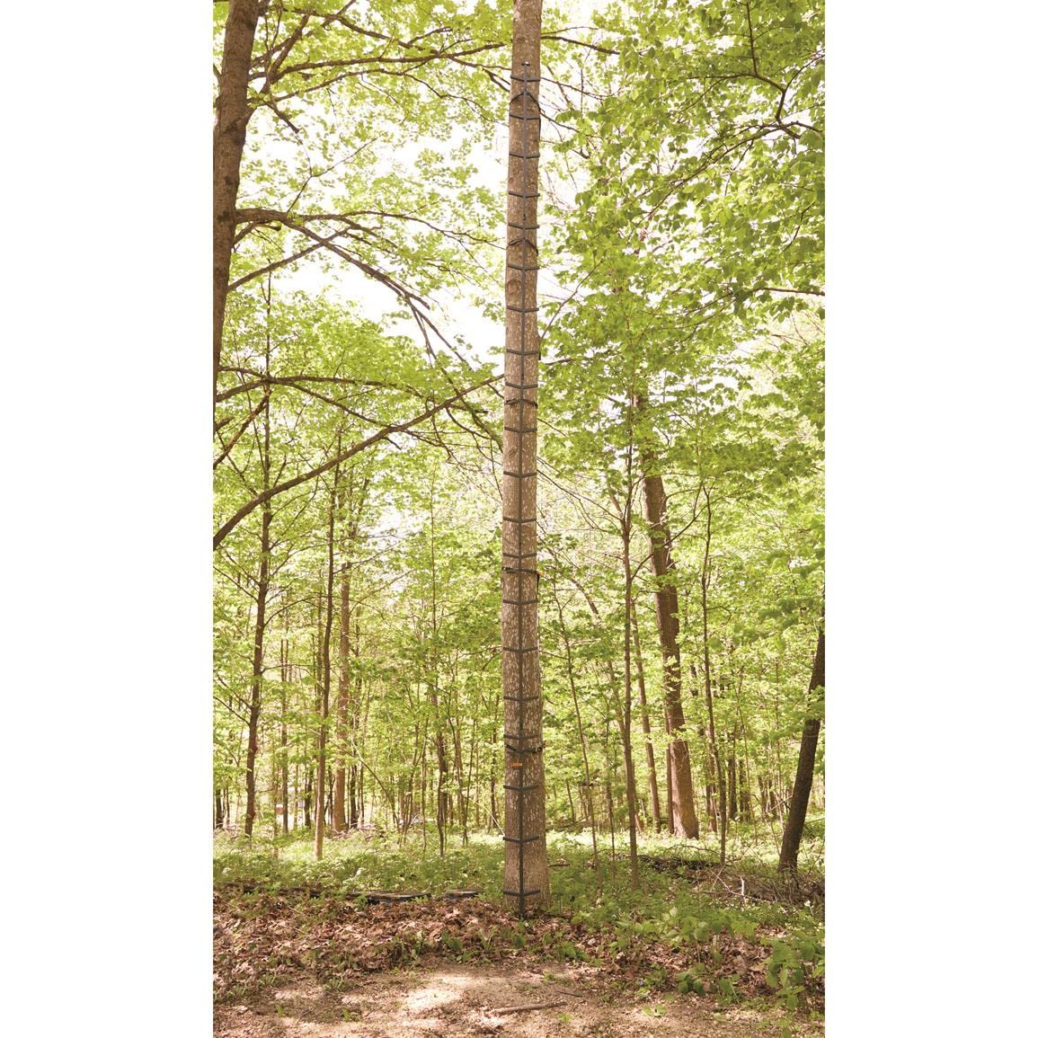 Full Step Climbing Stick Ladder P62329