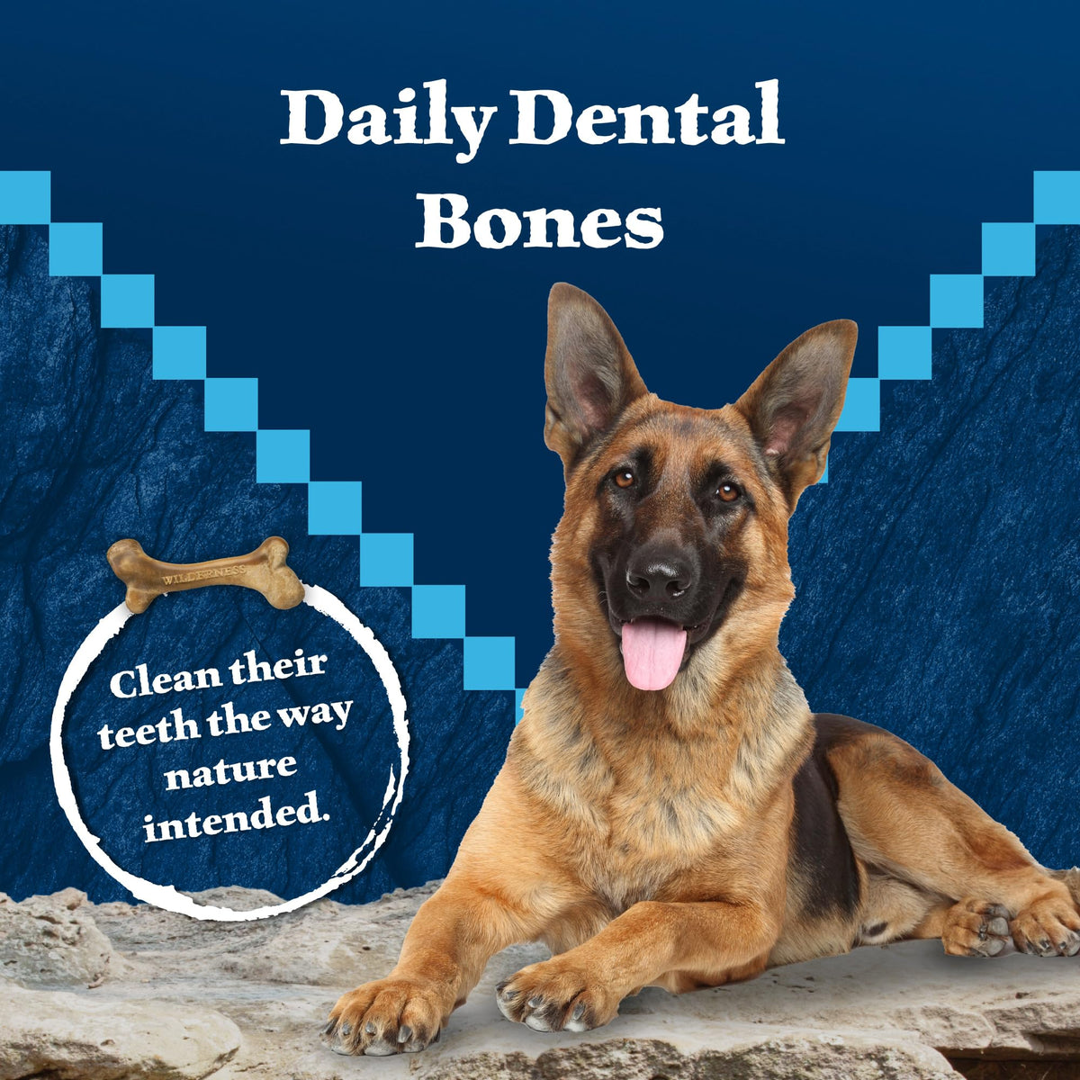 Grain-Free Large Dog Dental Chews D345776