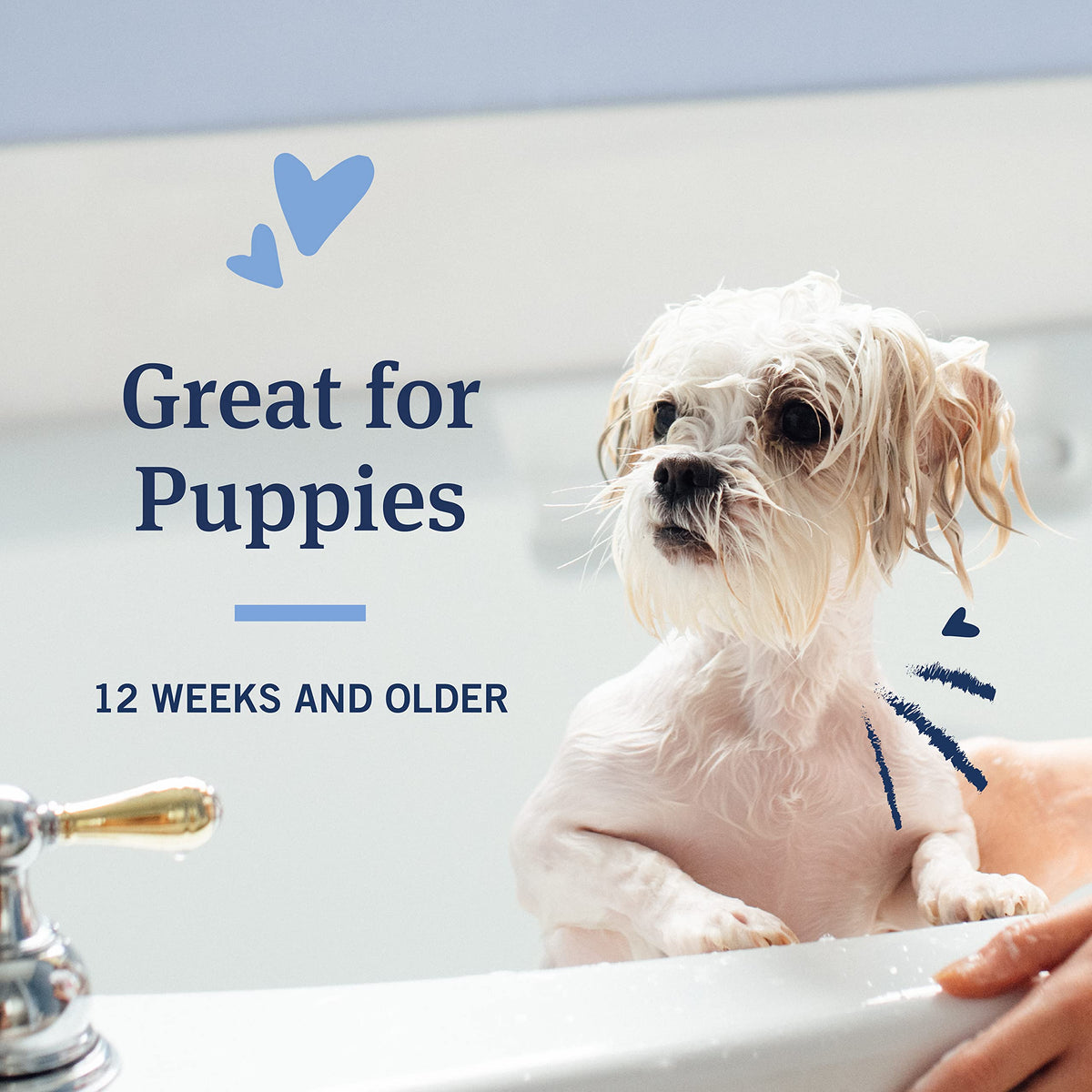 Oatmeal Flea & Tick Shampoo Dogs 18oz M1874