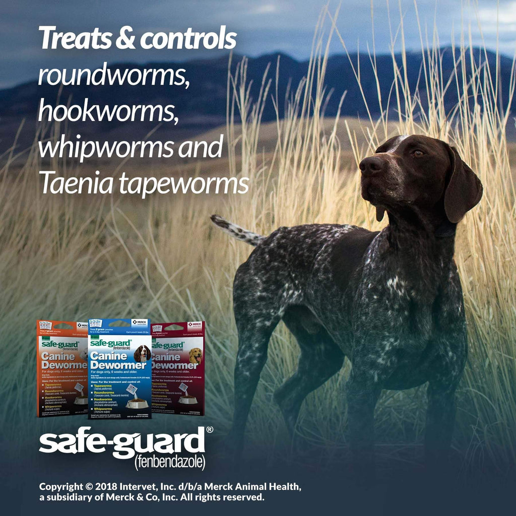 Canine Dewormer 4gm pouch Q956541