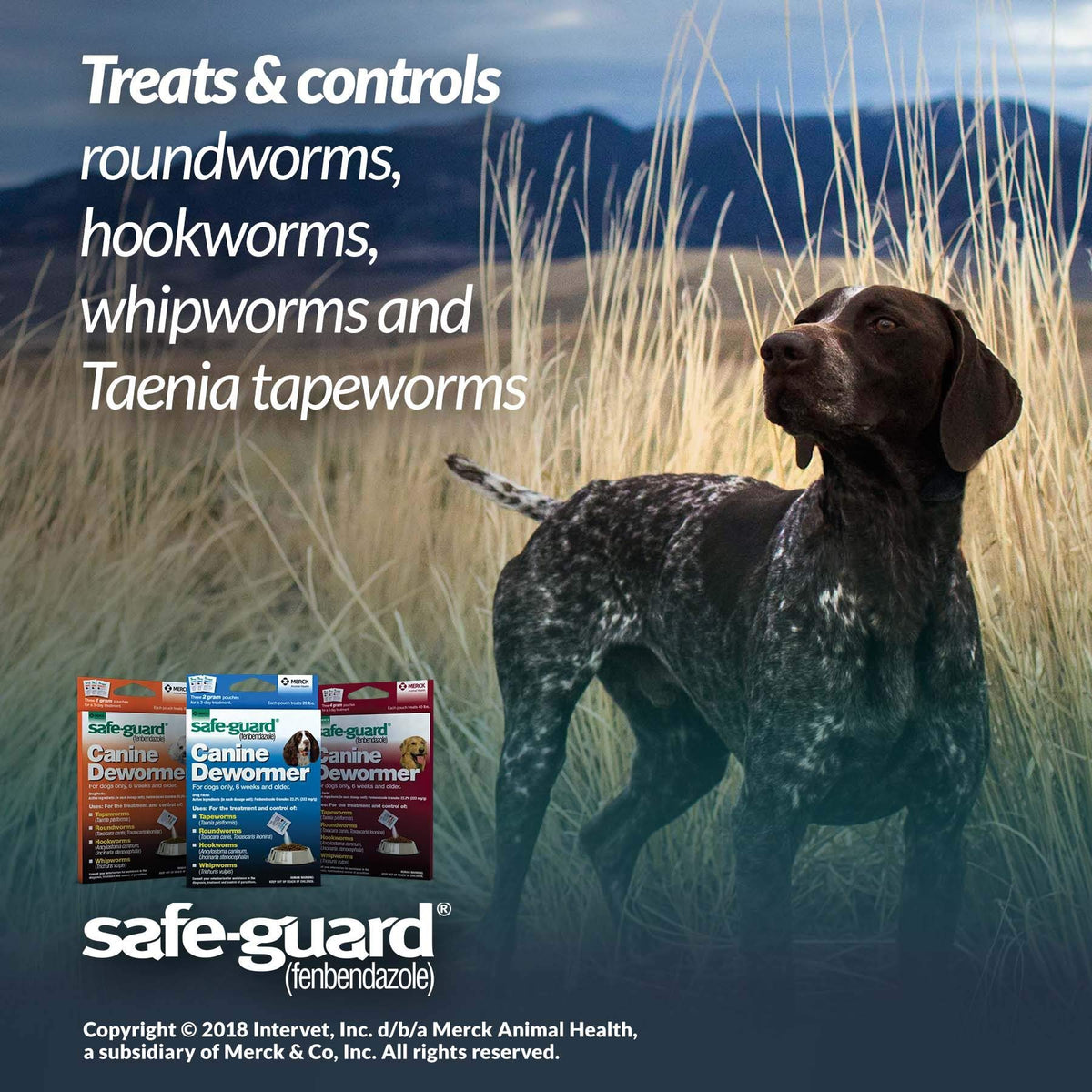 Canine Dewormer 4gm pouch Q956541