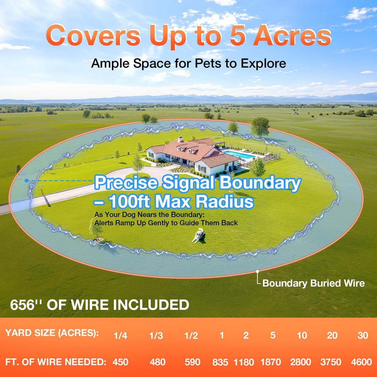 Electric Dog Fence Y9917