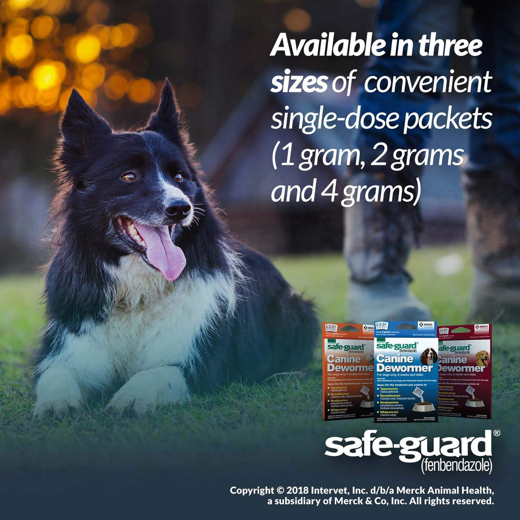 Canine Dewormer 4gm pouch Q956541